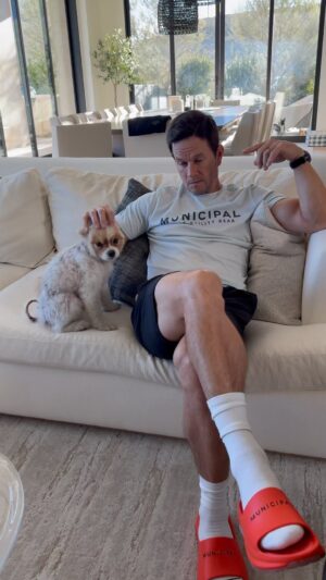 Mark Wahlberg Instagram - 🐶 Champ doesn’t play 🐶🤣 @arthurthekingmovie only in theaters March 15th 🐶🤣🥳 #ArthurTheKing