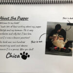 Markiplier Instagram - Amy organized a project with a bunch of artists/authors (captioned on image 10) to make me the best birthday present I’ve ever seen. It’s a book written by Chica about her “Number One Hooman” For those of you who don’t know Amy is the absolute best at gifting in the entire world and this was the most heartwarming present I could have ever asked for. I love my girls so damn much! Not all pages were able to fit in this post but I wanted to share what I could!