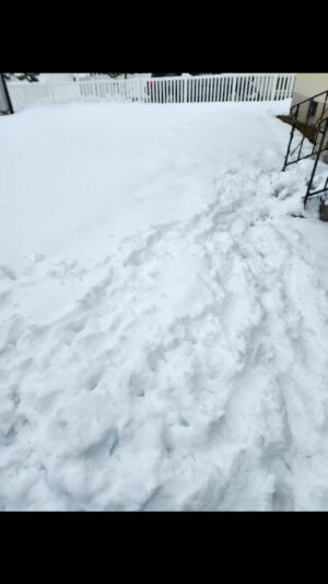 Martin Casaus Instagram - So it snowed so bad we don't have power all day today and won't until 10pm tomorrow night!?! Were hanging in our front room w our phones as lights

Utah has crazy snow right now that apparently won't stop for another 48 hours. What do you do if you have no power?

#utah #snow #slc #snowfall #utahgram #utahlife #utahisbeautiful #MartinCasaus #SaltLakeCity #SLC #VisitSaltLake #Utah #SaltLake #UtahGram #UtahTravel #SLCCreativeCommunity #SLCContentCreators #utahcontentcreator