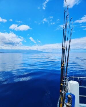 Martin Juneau Instagram - Activité de papa en solo, hier : aller à la pêche "bottom-fishing"!
🐟
Finalement, je suis revenu bredouille-mais-pas-tant parce que des mammifères nous ont réservé toute une surprise!
🐬
💙
💦
🩵
@alohabluecharters