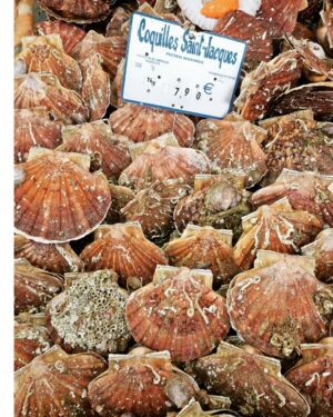 Martin Juneau Instagram - Toute est top.
🐚
🦪
@robertsval
#SaintJacques