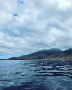 Martin Juneau Instagram - Activité de papa en solo, hier : aller à la pêche "bottom-fishing"!
🐟
Finalement, je suis revenu bredouille-mais-pas-tant parce que des mammifères nous ont réservé toute une surprise!
🐬
💙
💦
🩵
@alohabluecharters