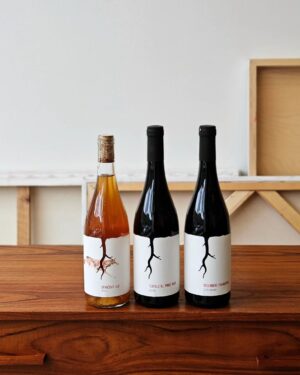 Martin Juneau Instagram - Ma blonde a eu une idée géniale (comme toujours)...
👇
Celle de vous suggérer des caisses de vin nature mixtes pour vos party du temps des fêtes à venir.. 
🍷
À commencer par les vins Slovaques précieux et précis de @vinomagula.
🍇
Vous êtes à un message privé du bonheur en importation privée.
💜
#VladimirMagula
#VoletImportation 
#VoletAndFriends