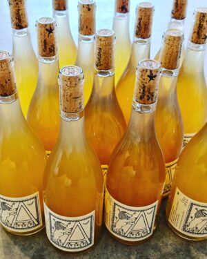 Martin Juneau Instagram - C'est la première fois que nous recevons la gamme de vins Savoyards/Auvergnats du Domaine de la Bohème @pinardier. 
🍇
L'Altesse et la Mondeuse risquent de provoquer de grandes émotions grâce au talent unique de Patrick Bouju!
🍷
*Erratum* Nous avons déjà eu de la Jacquère, mais en quantité ultra limitée!
💜
#Altesse
#Mondeuse
#PatrickBouju 
#DomaineDeLaBohème 
#VoletImportation 
#VoletAndFriends 
#VoletXGlou 
👉Nicolas@glou-mtl.com if you're feeling lucky.