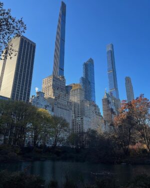 Martine Lunde Instagram - Stå på skøyter i Central Park ✓