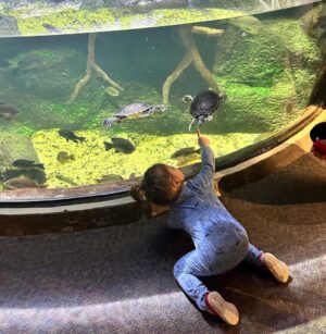Mary Katharine Ham Instagram - Second Christmas at the beach, featuring some excellent kid-wrangling by me (and my bro-in-law in the background). Exploring some piers, making sure my toddler doesn’t jump in, seeing the aquarium. 🌊🎄🐠
