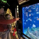 Mary Katharine Ham Instagram - Second Christmas at the beach, featuring some excellent kid-wrangling by me (and my bro-in-law in the background). Exploring some piers, making sure my toddler doesn’t jump in, seeing the aquarium. 🌊🎄🐠