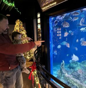 Mary Katharine Ham Instagram - Second Christmas at the beach, featuring some excellent kid-wrangling by me (and my bro-in-law in the background). Exploring some piers, making sure my toddler doesn’t jump in, seeing the aquarium. 🌊🎄🐠