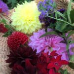 Mary Wiseman Instagram - Cuttings