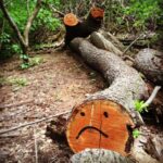 Mary Wiseman Instagram - 🌳🔪☹️ Prospect Park Bklyn.