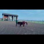 Massimo Boldi Instagram -