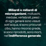 Massimo Polidoro Instagram – Che meraviglia l’approccio di Piero Angela, questo suo modo di spiegare le cose affinché tutti possano capirle al meglio, questa grande capacità narrativa di catturare la curiosità del lettore e trascinarlo nell’affascinante avventura della conoscenza.

“La meraviglia del tutto” è sì un libro divulgativo, ma prima ancora è un libro filosofico.
«Voglio condividere le mie impressioni. Domande brevi e risposte non troppo lunghe: un botta e risposta come nelle interviste sui giornali, anche se forse non sempre sarà possibile, visto che spesso le tematiche saranno complesse. Vorrei però che passassero alcuni messaggi importanti. 

Uno di questi dovrà essere il fatto che è necessario svecchiare il nostro continente e il nostro paese: com’è possibile che l’insegnamento della scienza sia ancora quello che ho seguito io settant’anni fa? 

Ma, soprattutto, non dovrà essere un libro pesante. Daremo per scontate alcune cognizioni di base, per dedicarci al racconto di aspetti curiosi e inaspettati, o anche a riflessioni più profonde. 

Importante dovrà essere anche il tono: non dovremo essere pesanti e bisognerà mantenere sempre un atteggiamento di umiltà.
Proprio come nella scienza.»

“La meraviglia del tutto”: conversazione di Piero Angela con Massimo Polidoro.