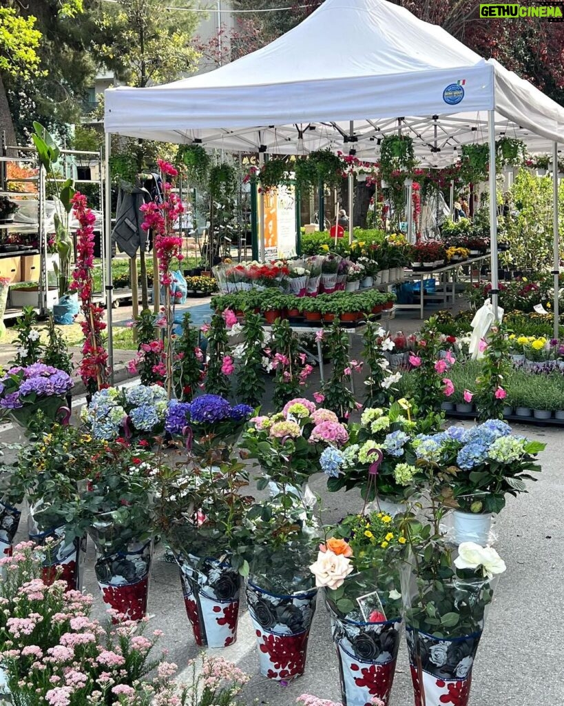 Matilda Morri Instagram - Ho fatto un giro alla festa dei fiori e ho indossato Sencha di @weltonlondon È un profumo a base di menta e Tè verde: fresco, verde e io lo sento anche piuttosto romantico. Ha un’eleganza molto in stile giapponese, perfetto da indossare all’alba di primavera, anche in due, in coppia intendo proprio. La menta con il tè verde è una scelta perfetta per chi vuole rimanere alternativo ma alleggerirsi con l’arrivo della bella stagione. In soldoni: se sei em0 ma vuoi un profumo che sa di pulito: questo qui * * (No ad)