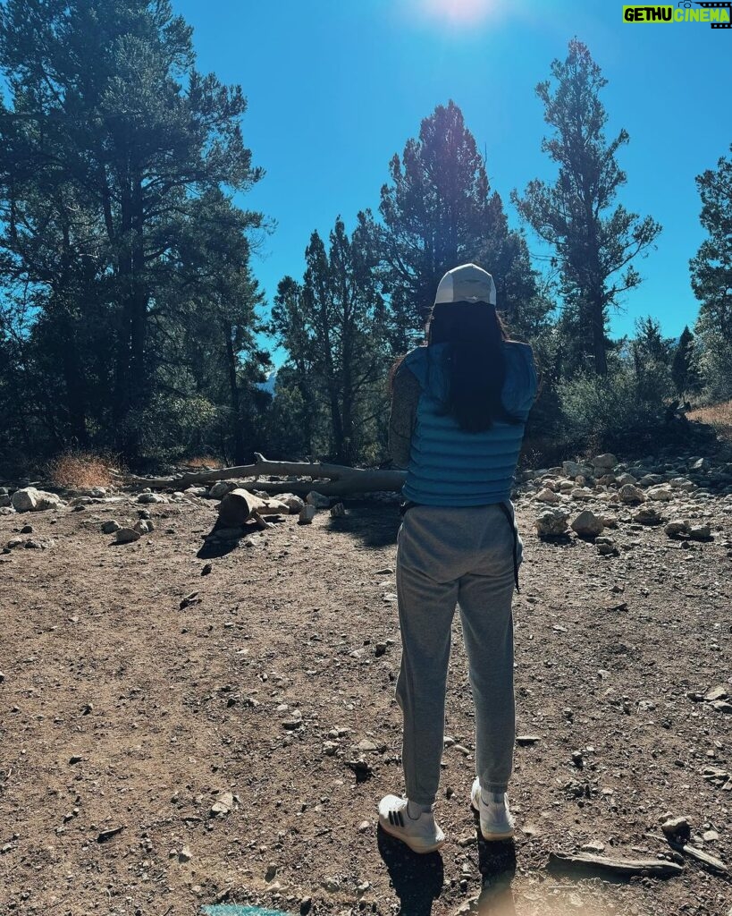 Maudy Ayunda Instagram - The little things. 🍂 trees need hugs too u knw Cougar Crest Hiking Trail, Big Bear Lake