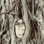 Mauricio T. Valle Instagram - วัดมหาธาตุ อุทยานประวัติศาสตร์พระนครศรีอยุธยา