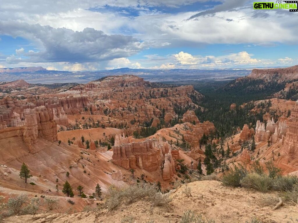 Maxwell Acee Donovan Instagram - HAPPY EARTH DAY! This is from a trip we took last summer to Bryce Canyon National Park! We are constantly in awe of the beauty of nature. Please help us help Earth by making a donation this Earth Day. 🌍💙 Link in bio! #EarthDay #NaturesNegotiators #BryceCanyon #EarthsBeauty #Preservation (Regarding the last video: we love Earth so much we snuck our cat into a national park so she could enjoy it too! Donate, donate now. Or else the cat gets it.) (Also also, don’t mention that my sister posted this before me cause she’ll say I’m not as cool as her 😐)