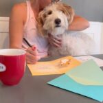 Meaghan B. Murphy Instagram - Wait a doggone minute, Dempsey! 🐶 I’m trying to write ✍️ a thank you note. 🤣 #funny #dogmom #dogmomlife #dogsofinstagram #labradoodle #yay #dogoftheday #creampufflabradoodles