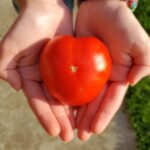 Megan Stott Instagram - I ❤WUV❤ you too garden! #organicgardening#naturelove