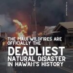 Meghan Trainor Instagram - Maui needs us more than ever🙏 @ainamomona outlines some actions that we can take today to help this community❤️ For updates, please follow: @ilimanator @tiare_lawrence @kakoo_haleakala To donate: @hawaiicommunityfoundation @mauiunitedway @mauirapidresponse @hawaiiancouncil @hawaiipeoplesfund @baby2baby