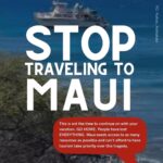 Meghan Trainor Instagram - Maui needs us more than ever🙏 @ainamomona outlines some actions that we can take today to help this community❤️ For updates, please follow: @ilimanator @tiare_lawrence @kakoo_haleakala To donate: @hawaiicommunityfoundation @mauiunitedway @mauirapidresponse @hawaiiancouncil @hawaiipeoplesfund @baby2baby
