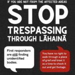 Meghan Trainor Instagram - Maui needs us more than ever🙏 @ainamomona outlines some actions that we can take today to help this community❤️ For updates, please follow: @ilimanator @tiare_lawrence @kakoo_haleakala To donate: @hawaiicommunityfoundation @mauiunitedway @mauirapidresponse @hawaiiancouncil @hawaiipeoplesfund @baby2baby
