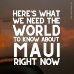 Meghan Trainor Instagram - Maui needs us more than ever🙏 @ainamomona outlines some actions that we can take today to help this community❤️ For updates, please follow: @ilimanator @tiare_lawrence @kakoo_haleakala To donate: @hawaiicommunityfoundation @mauiunitedway @mauirapidresponse @hawaiiancouncil @hawaiipeoplesfund @baby2baby