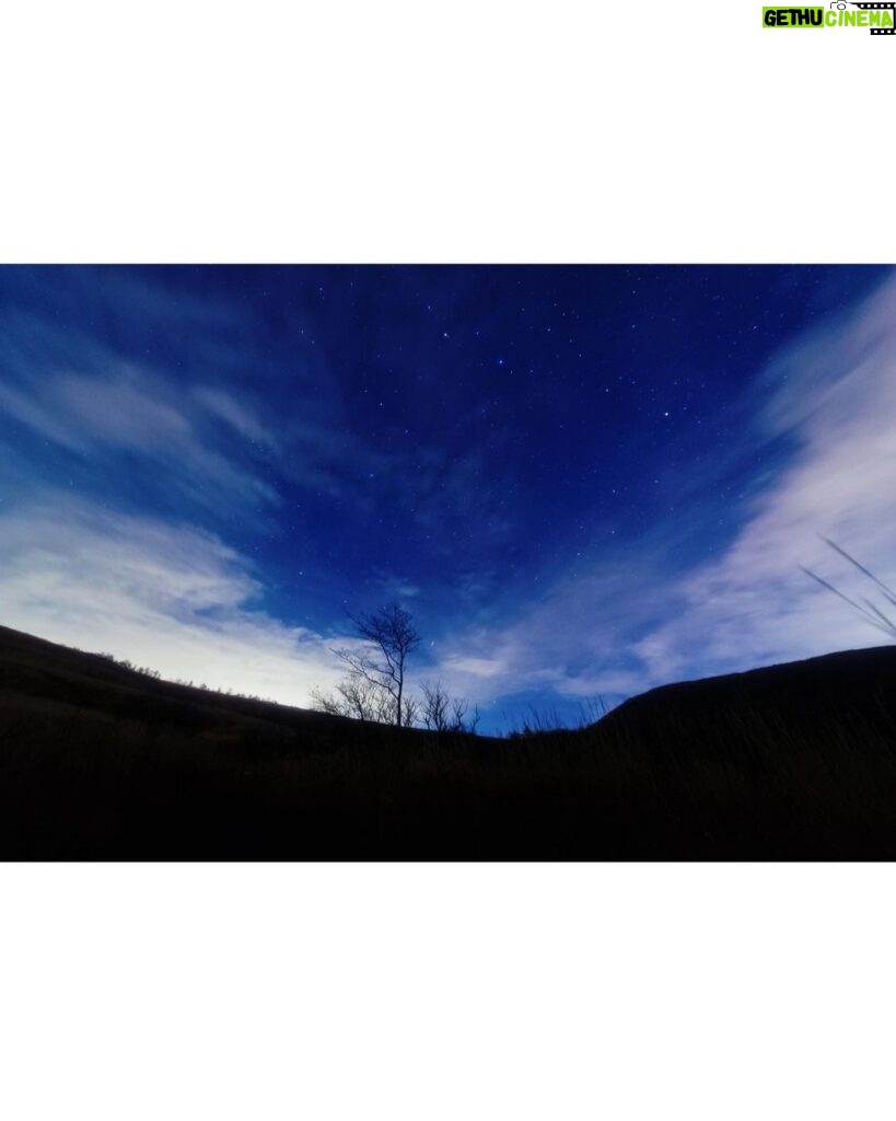 Megumi Han Instagram - 生まれて初めての星見。 ずっと行きたいと願っていた星々の撮影。 ついに念願が叶いました。 ふたご座流星群。 自分の生まれの星座の流星群。 冬の流れ星なんだなぁ。 今年は、良い条件が揃う8年ぶりの好機だったのだそう。 雲の多い時間帯もありましたが、最後には晴れて、この星空です。 この目で見えるよりも遥かに星は多く輝いていました。 だけど、この目で捉えた大きな流星たちを、実際にカメラにおさめるのは、とても難しくて。 それでも捉えられたときの感動は、ひとしお。 わずかに写った線が、流星です。 初めての撮影にしては、上出来だと思います。（ドヤァ） それも自動ではなくアナログで！（ふんす） カメラは、ずっと愛用しているNikon D610。 レンズは、シグマの広角レンズをお借りして。 星見に詳しい皆さんと、初めて星を観測する方々と、実りある時間を過ごしました。 夜空を見上げながら、星々を繋いだり、星にまつわるお話を、たくさん。 寒空の下で飲むココアは、特別なものがありました。 たくさんの奇跡が折り重なって迎えた星降る夜。 星々に魅せられて引き寄せられた星の子たち。 巡り会えたこのご縁に、心から感謝を。 そして、この世界の片隅から幸せを星に願って。 ＿＿＿＿＿＿＿＿＿＿ 向かう道中も楽しく、深夜に食べる海老名のSAで食べたラーメンは、絶品でした。 「星見はスポーツだから」とカロリーを蓄えて、身体もポカポカ。 帰り道も、お腹が空いてしまい、談合坂のSAで、星見の皆さんおすすめのチーズクリームどら焼きを頂きました。脳に沁み渡る美味しさでした。 それから、ガチャポンも。 ハンターと推しの子、回しちゃった！ 野生の鹿や狸がいたり、雲の中にいる体験をしたりして、時間旅行しました。 #星 #星空 #星空撮影 #星空フォト #流れ星 #流星群 #ふたご座流星群 #star #stars #gemini #shootingstars #shootingstar 山梨県