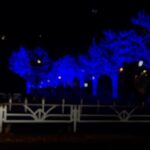 Megumi Han Instagram - 『僕の心のヤバいやつ』FANFESTA 2023 ⭐︎karte.12.5 僕らは渋谷に集まった⭐︎ ご来場ありがとうございました！！ なんとも賑々しい朗読に 幸せのため息が漏れ出る1期の振り返り 今にも駆け出しそうな想いに脈打つライブ この世のすべてを溶かす2期の1話を先駆けて 皆さんにお届けしました。 昼と夜、それぞれ、最後の挨拶でもお話したのですが… 昨日一日、イベントを通して、それぞれのコーナーが、こう、バトンを渡していくように、想いが募っていくのを感じたんですよ。 だから、イベントを挟むようにして構成された朗読劇の後半で、みんなそれを受け取って掛け合っている感じがあって、それが凄く良くて…。 もしイベント全体がリレーとなっていたのなら、最後、受け取ってくれるのは、観客席の皆さん。アンカーです。 この幸せな空間が皆さんに届いて、さらに広まっていくと、いいなぁ。 コロナ禍ではじまった『僕ヤバ』のアフレコ。 はじめは4人ずつで収録してたんです。 市川役の堀江くん、山田役の羊宮ちゃんを、他の2人で囲む形で。 それはそれで、緊張感があって、この尊さを保ったまま受け止めるのが、大変（歓喜）だったんだけど… 迎えた2期の収録は、8〜10人で収録ができるようになって… 市川と山田の、この2人の掛け合いを、空気感を、みんなで守っていこうとする、この感じがまた、物語と重なっていって、とても素敵でね。 1期でも、2人以外で関わりはあったけど、この1期の積み重ねがあって、また世界が開けて、近づいて、より一層、関わり合っている感覚が強くなっていったんです。 2人がいる、この根底から、家族、友人、先輩、先生、クラスメイト、いろんな人から、またより2人を知るというか。 だから、それがフィルムにそのままのっかってて、なんか、泣けちゃうんだよね。 愛がすぎるんですよ、現場の。携わるすべての人の。 ・・・さてさて、長く語ってしてしまいましたが 2期の放送スタートまで、あと1ヶ月ほど。 おあずけ状態で迎える年末年始も悪くない。 原作を読みながら 1期を見返して頂きつつ 配信されたばかりのツイヤバにとろけて 共に融解し、新たな一年を迎えよう。 誰かの幸せを願える事の尊さを噛み締めて… 僕ヤバのすべてに感謝を…！ 声を、拍手を、聞かせて下さって、想いを届けて下さって、本当に有難うございました！ 引き続き、僕ヤバを、市川と山田を、宜しくお願い致します！ LINE CUBE Shibuya