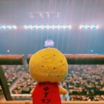 Megumi Han Instagram - お邪魔させて頂きました。 __________ YUZU SPECIAL LIVE 2023 HIBIKI in K-Arena Yokohama BEAUTIFUL never give up __________ ゆずのお二人と、ここに集ったすべての人たちの故郷が、音となり響いていて、終始、視界が滲んでおりました。 移ろいゆく中で、変化しながらも、変わらないものが、そこにあって。 なんだか、とても、郷愁を感じました。 生きていて感じる、すべての感情・感覚と、エネルギー。 地に根っこを強く張って、宇宙へと羽ばたくマンパワー。 ステージと客席が、互いを労い合う光景に、胸が熱くなるばかり。 『「「ありがとうございました！！」」』 『REASON』に『マスカット』所縁ある楽曲たちにも、久しぶりに会えて嬉しかったです。 ご縁を大切にして下さる、ゆずのお二人と皆さんの事が、ずっと大好きだーーー！！ 🌱 🟡 ちなみに、当方、高校1年のときの合唱コンは『夏色』。 アコースティックギターを頑張って弾き語り。 やっぱり、青春の傍らに、いつも。 「もう一回！！もう一回！！」 この日も弾け飛びました。 #ゆず #ゆずLIVE #横浜 #yokohama #Kアリーナ横浜 #ゆずKアリーナ横浜ENCORE