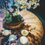 Megumi Han Instagram - 春 を 待 ち 侘 び て 咲 く この梅は70歳、最後の梅は100歳になるとか。 盆栽。 表と裏があることも知らなかった。 でも、今、知れてよかった。 ちょっと、此処、通うことになりそうです。
