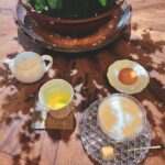 Megumi Han Instagram - 春 を 待 ち 侘 び て 咲 く この梅は70歳、最後の梅は100歳になるとか。 盆栽。 表と裏があることも知らなかった。 でも、今、知れてよかった。 ちょっと、此処、通うことになりそうです。