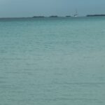 Melani Olivares Instagram - …después de 4 días aquí, por fin salió el sol, no nos importó no tenerlo, porque hicimos como si estuviera… Cuba nos está enamorando , es un paraíso, pero lo mejor es su gente y todo lo que estamos compartiendo con ello@s. Hemos salido desde playa paraíso a playa sirena andando y hemos visto estrellas de mar , cangrejos gigantes , pajarillos y peces de colores… un sueño de vacaciones .. @neoxing @hugo_delross @mohamadfawzigonzalez @rafavillanuevabaena @memoriescayolargo