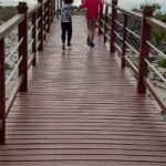 Melani Olivares Instagram - …y llegó papá Noel hasta Cayo largo y nos trajo unas gafas para un sol que todavía no llega, pero nos da igual, porque fuimos a una casa típica campesina, donde bailamos y comimos pan con lechón, con sus gentes que no pueden ser más maravillosas y generosas. Vimos a un cocodrilo bebé y un cangrejo blanco. Después fuimos al centro de recuperación de tortugas, donde cada año salvan 20.000 tortugas y Leonardo nos lo contó con su magia y bondad. Llevamos 2 días aquí y ya sabemos que nos iremos llorando y sabiendo que volveremos en cuanto podamos… @memoriescayolargo @neoxing ( te vamos a llevar con nosotros de vuelta ( lo sabes,no?) @hugo_delross @mohamadfawzigonzalez @rafavillanuevabaena ❤️❤️❤️❤️