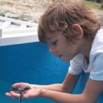 Melani Olivares Instagram - …y llegó papá Noel hasta Cayo largo y nos trajo unas gafas para un sol que todavía no llega, pero nos da igual, porque fuimos a una casa típica campesina, donde bailamos y comimos pan con lechón, con sus gentes que no pueden ser más maravillosas y generosas. Vimos a un cocodrilo bebé y un cangrejo blanco. Después fuimos al centro de recuperación de tortugas, donde cada año salvan 20.000 tortugas y Leonardo nos lo contó con su magia y bondad. Llevamos 2 días aquí y ya sabemos que nos iremos llorando y sabiendo que volveremos en cuanto podamos… @memoriescayolargo @neoxing ( te vamos a llevar con nosotros de vuelta ( lo sabes,no?) @hugo_delross @mohamadfawzigonzalez @rafavillanuevabaena ❤️❤️❤️❤️