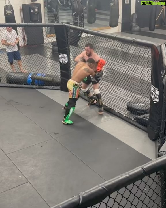 Merab Dvalishvili Instagram - Some sparring , some fun with my NY boys. Always great to come back and train and hang with them! 🦾 Longo and Weidman MMA