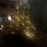 Michael Brinkenstjärna Instagram - Mkt Trevlig Julmarknad & Julbords Kväll med Gamla Sköna Vänner på Slottet Venngarn / Sigtuna 🏆 Tusen tack till Övergrymma Värdinnan Nette @nettexnette 🙏 Mr Brink Venngarn Slott