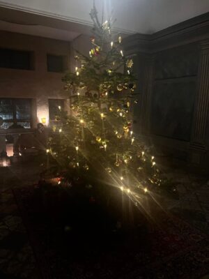 Michael Brinkenstjärna Instagram - Mkt Trevlig Julmarknad & Julbords Kväll med Gamla Sköna Vänner på Slottet Venngarn / Sigtuna 🏆 Tusen tack till Övergrymma Värdinnan Nette @nettexnette 🙏 Mr Brink