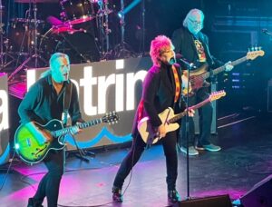 Michael Brinkenstjärna Instagram - Succé & Utsålt för 80 talets Artistgiganter som lyfte Luciakvällen 13/12 på Nya Circus / Stockholm 🏆 Www.artistscandinavia.se #80s #music #sweden #circus #lasselindbom #danhylander #ankibaggersfanclub #mikaelrickfors #shaboom #noice #peothyren #dagfinn #magnumbonum #snowstorm #instagood #instagram #brink #brinkenstjärna #stockholm 

Lasse Lindbom Dag Finn Dan Hylander Dan Hylander Ankie Bagger Peo Thyrén Mikael Rickfors Katrina And The Waves Magnum Bonum SNOWSTORMI Circus, Djurgården