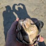Michael Fishman Instagram - Love is everywhere Cultivate it with joy California, USA