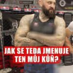 Michal Martínek Instagram - Vašek s Danem jsou super kluci, škoda jen že na tréninku byli Viktor s Davidem 😂👍🏻 #KSW87 Kluci, díky za super trénink! @viktorraskovsky 🤝 @david_karbas
