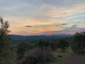 Michelangelo Fortuzzi Instagram - Home Sweet Home