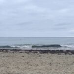 Michelle Stafford Instagram - A Day at the Beach. Wes Anderson. Inspo, the hilarious @lindseygurk