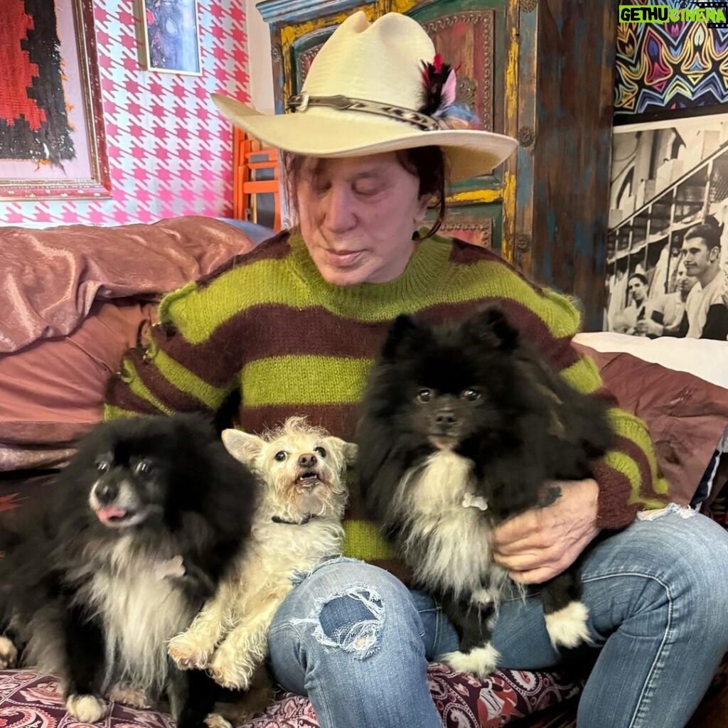 Mickey Rourke Instagram - Egor,Ivan & Lucky (rescue)