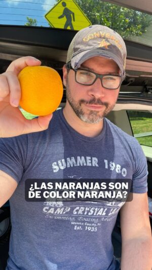 Miguel Augusto Rodríguez Instagram - ¿Las naranjas realmente son de color naranja? 🤔 Mi persona y @culturizando te traemos la respuesta en este nuevo #entreparéntesis , de igual manera te invitamos a buscar la información acá comentada en la web donde esta práctica es aprobada por la FDA acá en USA 😊