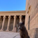 Miguel Bernardeau Instagram - Increíble 🙏🏽❤️ Egipto, Rio Nilo