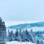 Mike Vogel Instagram - Bringing in the New Year in one of my favorite places on earth. Idaho has been showing off. After decade of not riding, the kid’s still got it! Now it’s time to teach the new generation. G-Money is a natural!...... Happy New Year! @brundagemtn #mccall #visitmccall