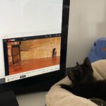 Mina Sundwall Instagram - please do not disturb him while he is working