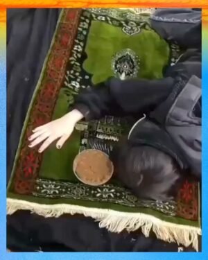 Mitra Jouhari Instagram - Repost from @from____iran
•
Iranians are a community in mourning.

2- Ahmad Goodarzi's daughter at her dad's grave. Kheshtianak village, Lorestan, Dec. 15
#Ahmadgoodarzi

3- Abolfazl Adinehzadeh's dad at his son's grave, Quchan, Khorasan, Dec. 16
#AbolfazlAdinehzadeh

4- Aida Rostami's relatives mourning at her burial. Gorgan, Dec. 15
Aida Rostami, a doctor who reportedly helped injured protesters, left the hospital on Dec 12 and never came back. The next day police told her family she had an accident, but people believe she was tortured and murdered for treating injured protesters. Both her hands were broken. 
#AidaRostami

5- Donya Farhadi's relatives mourning at her burial. Uzeh, Khuzestan. Dec. 17
went missing and her body was found on the shore of the Karun River, Ahvaz, 9 days after she disappeared.
#DonyaFarhadi

6- Soroush Pourahmadi was buried on Dec. 17. He was reportedly tortured and was left in street after. He passed away in a hospital.
#soroushpourahmadi

7- Farzin Maroufii's father dancing for his son's 22nd birthday at his grave, Dec. 16
#FarzinMaroufi

8- Saeed Mohammadi's family celebrating his 22nd birthday at his grave, Shabad, Kermanshah, Dec. 16
#SaeedMohammadi

9- Mohammadreza Eskandari's memorial. Dec 11.
Mohammadreza Eskandari was shot by regime forces during a protest in Tehran. 
#MohammadrezaEskandari

10- Nima Nouri's parents at his 40th day memorial, Karaj, Dec. 16
#NimaNouri

* Words in title are from @taragrammy
#IranRevolution