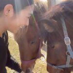 Miyu Hayashida Instagram - Thank you for the horses and the beautiful ranch. They always give me a wonderful time of peace,healing and lovely🌷♡ Libertas of deepimpact, thoroughbredhorses and pony🐴🐴🐴 #ridinghorse#deepimpact #thoroughbredhorse#pony