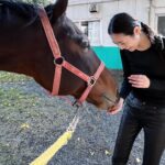 Miyu Hayashida Instagram - Thank you for the horses and the beautiful ranch. They always give me a wonderful time of peace,healing and lovely🌷♡ Libertas of deepimpact, thoroughbredhorses and pony🐴🐴🐴 #ridinghorse#deepimpact #thoroughbredhorse#pony